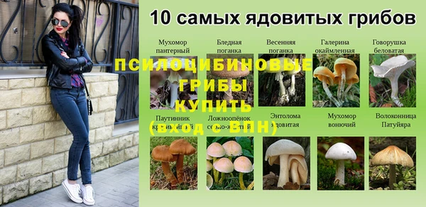 эйфоретик Нефтекумск