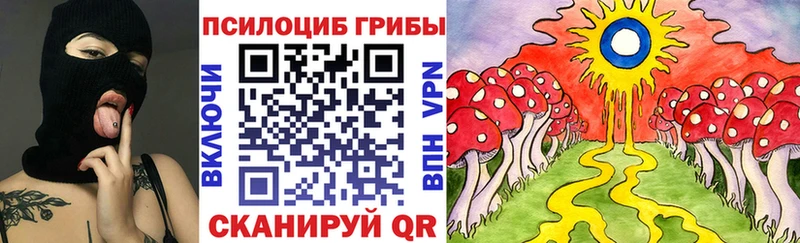 купить наркотики цена  omg как зайти  Псилоцибиновые грибы мицелий  Химки 